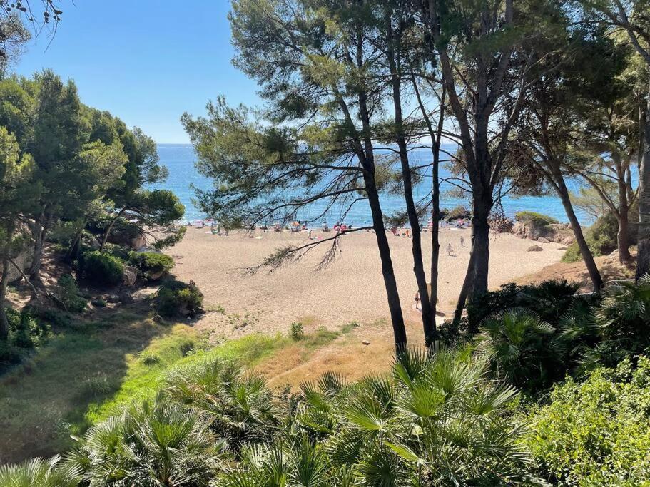 Precioso Apto Miami Primera Linia Playa Cala De Las Sirenas, Con Wifi Y Netflix, Adecuado Para Teletrabajar ميامي بلاتجا المظهر الخارجي الصورة
